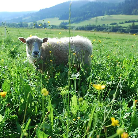 Obergruberhof *