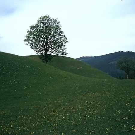 Apartmán Obergruberhof *