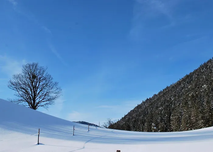 Апартаменты Obergruberhof