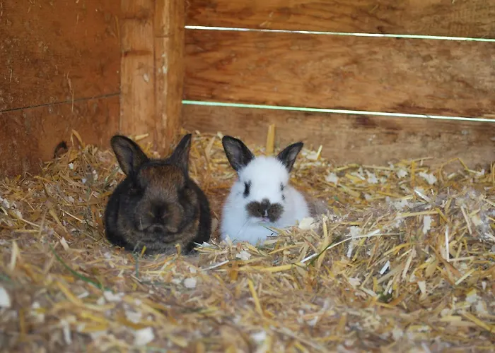 Апартаменты Obergruberhof