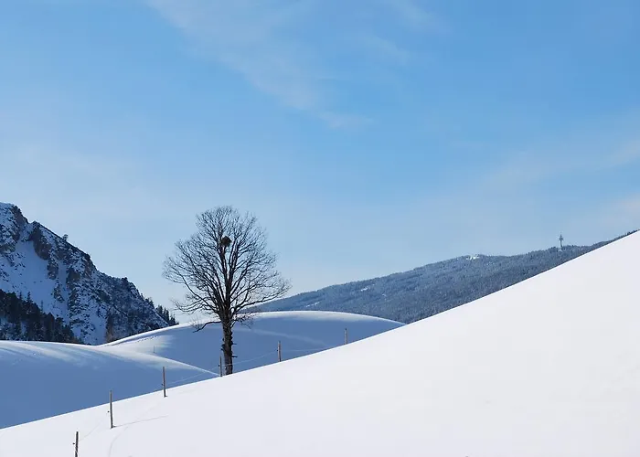 Obergruberhof Schladming