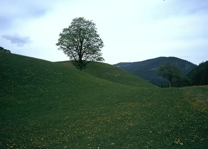 Апартаменты Obergruberhof *